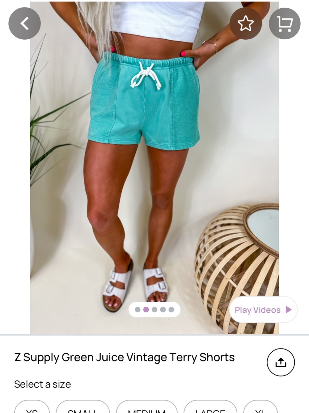 Z Supply XS Vintage Terry Drawstring Shorts in Green Juice